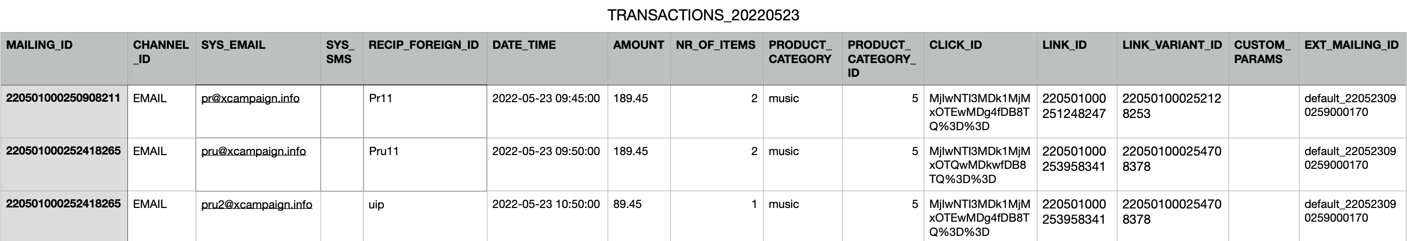 Raw Transaction Data Example TRANSACTIONS_YYYYMMDD.png